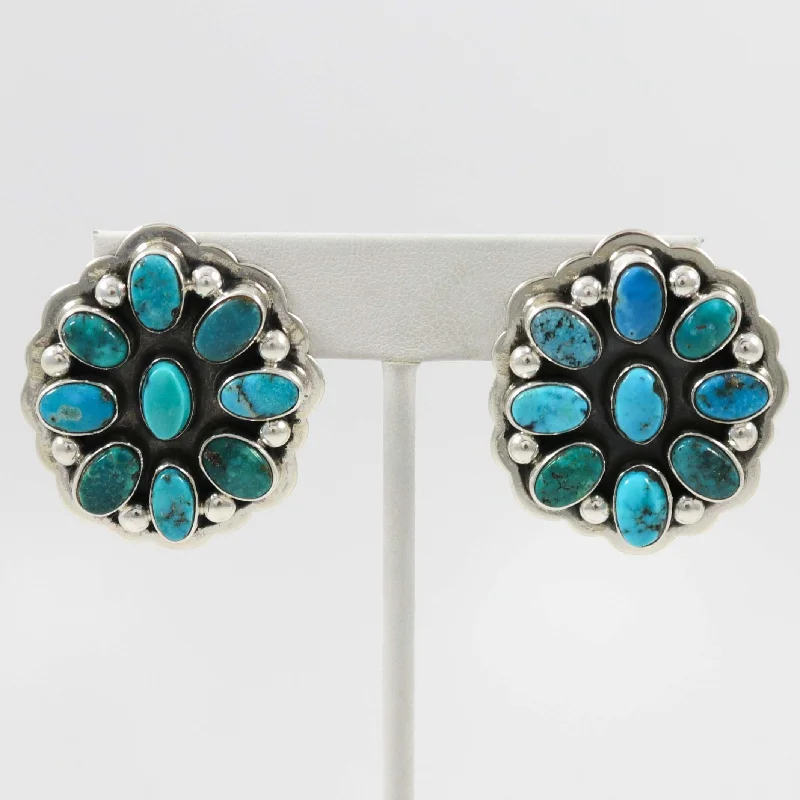 Blue Gem Turquoise Earrings